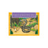 The Gruffalo 4 in a Box Jigsaw Puzzle